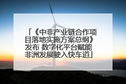 《中非产业链合作项目落地实施方案总纲》发布 数字化平台赋能非洲发展驶入快车道