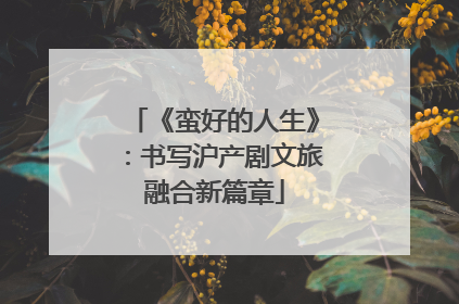《蛮好的人生》：书写沪产剧文旅融合新篇章