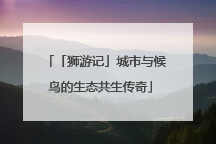 「狮游记」城市与候鸟的生态共生传奇