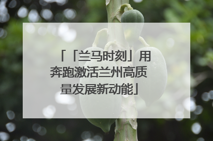 「兰马时刻」用奔跑激活兰州高质量发展新动能