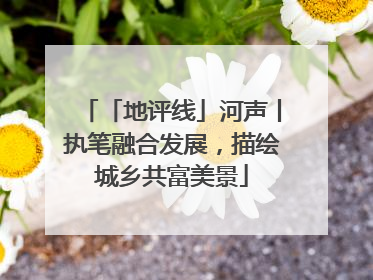 「地评线」河声丨执笔融合发展，描绘城乡共富美景