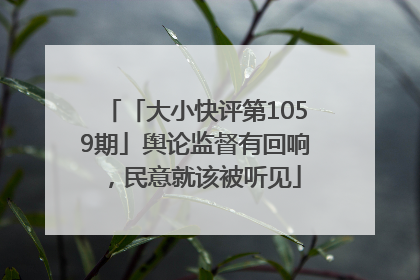 「大小快评第1059期」舆论监督有回响，民意就该被听见