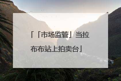 「市场监管」当拉布布站上拍卖台