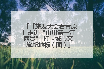 「旅发大会看青原」走进“山川第一江西景” 打卡城市文旅新地标（图）