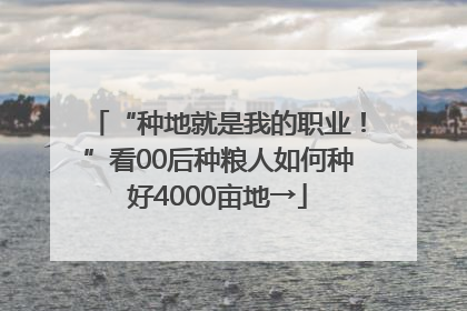 “种地就是我的职业！”看00后种粮人如何种好4000亩地→