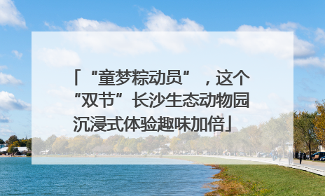 “童梦粽动员”，这个“双节”长沙生态动物园沉浸式体验趣味加倍