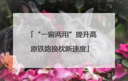 “一窗两用”提升高原铁路换枕新速度