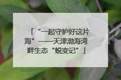 “一起守护好这片海”——天津渤海湾畔生态“蜕变记”