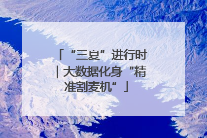“三夏”进行时｜大数据化身“精准割麦机”