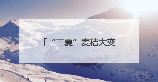 “三夏”麦秸大变身：五河县年发2.5亿千瓦时绿电 供20万吨蒸汽