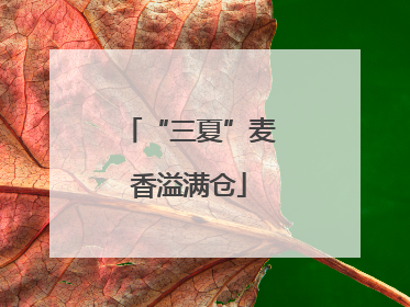 “三夏”麦香溢满仓