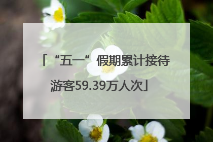 “五一”假期累计接待游客59.39万人次