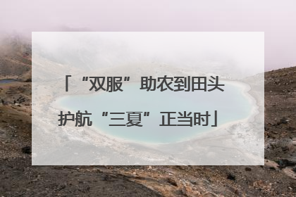 “双服”助农到田头 护航“三夏”正当时