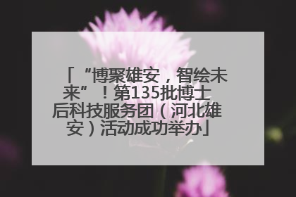 “博聚雄安，智绘未来”！第135批博士后科技服务团（河北雄安）活动成功举办