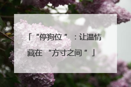 “停狗位 ”：让温情藏在 “方寸之间 ”