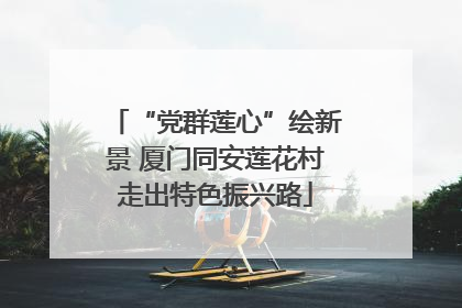 “党群莲心”绘新景 厦门同安莲花村走出特色振兴路