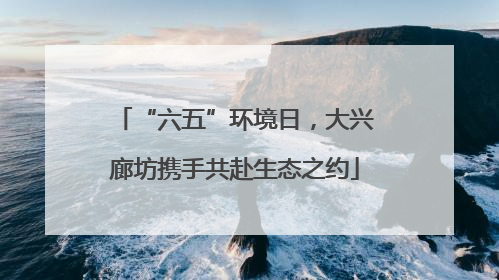 “六五”环境日，大兴廊坊携手共赴生态之约
