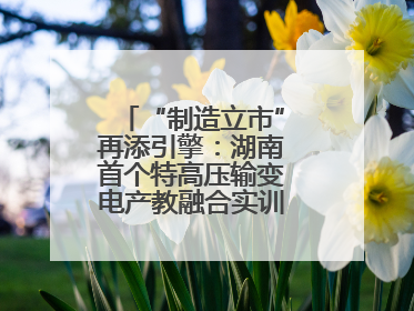 “制造立市”再添引擎：湖南首个特高压输变电产教融合实训基地在衡落户