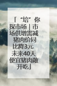 “培”你探市场｜市场供增需减 猪肉价同比降3元 未来40天便宜猪肉敞开吃