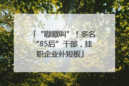 “嗷嗷叫”！多名“85后”干部，挂职企业补短板
