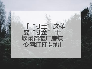 “寸土”这样变“寸金” 十堰闲置老厂房蝶变网红打卡地