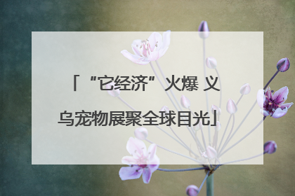 “它经济”火爆 义乌宠物展聚全球目光