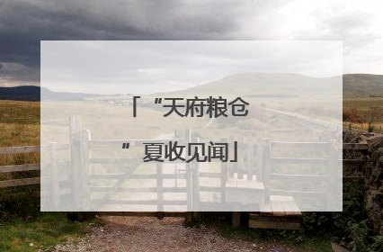 “天府粮仓”夏收见闻