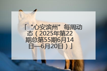 “心安滨州”每周动态（2025年第22期总第55期6月14日—6月20日）