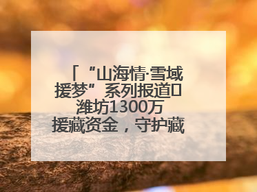 “山海情·雪域援梦”系列报道⑪ 潍坊1300万援藏资金，守护藏区群众健康“最后一公里”