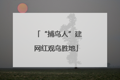 “捕鸟人”建网红观鸟胜地