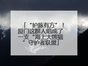 “护豚有方”！厦门这群人组成了一支“海上大熊猫”守护者联盟