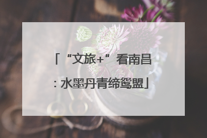 “文旅+”看南昌：水墨丹青缔鸳盟