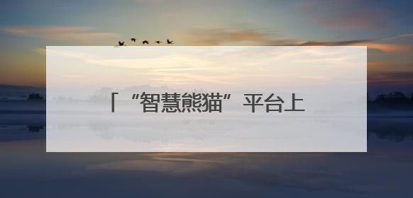 “智慧熊猫”平台上线月余注册用户破万 打造数字连侨新模式