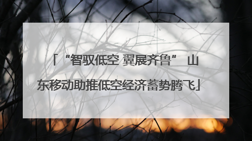 “智驭低空 翼展齐鲁” 山东移动助推低空经济蓄势腾飞