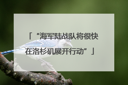 “海军陆战队将很快在洛杉矶展开行动”