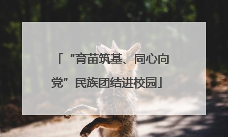 “育苗筑基、同心向党”民族团结进校园