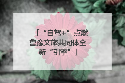 “自驾+”点燃鲁豫文旅共同体全新“引擎”