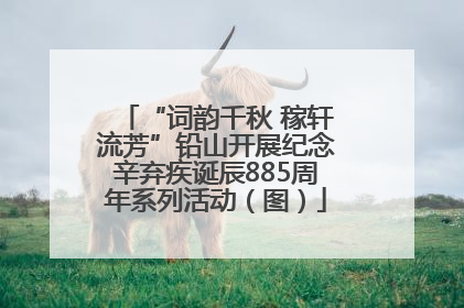 “词韵千秋 稼轩流芳”铅山开展纪念辛弃疾诞辰885周年系列活动（图）