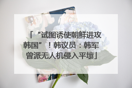 “试图诱使朝鲜进攻韩国”！韩议员：韩军曾派无人机侵入平壤