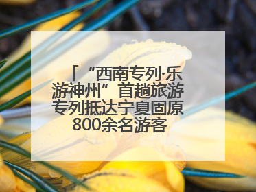 “西南专列·乐游神州”首趟旅游专列抵达宁夏固原 800余名游客开启清凉之旅