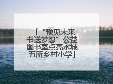 “豫见未来 书送梦想”公益图书室点亮永城五所乡村小学