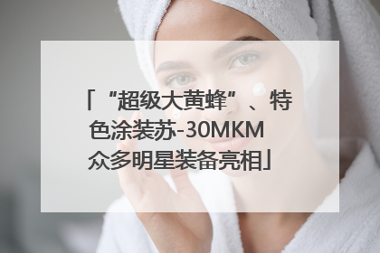 “超级大黄蜂”、特色涂装苏-30MKM 众多明星装备亮相