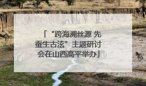 “跨海溯丝源 先蚕生古泫”主题研讨会在山西高平举办