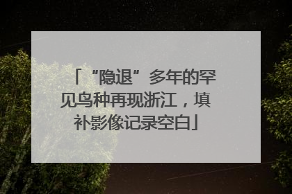 “隐退”多年的罕见鸟种再现浙江，填补影像记录空白