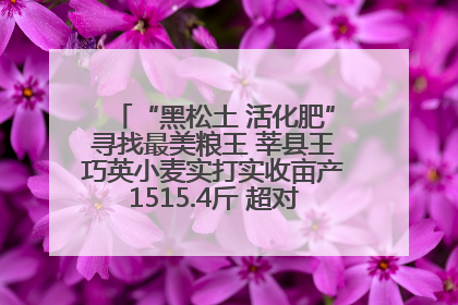 “黑松土 活化肥”寻找最美粮王 莘县王巧英小麦实打实收亩产1515.4斤 超对照田144斤！