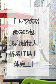 玉岑铁路跨G65包茂高速特大桥系杆拱主体完工