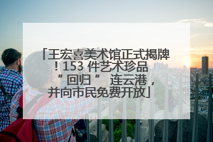 王宏喜美术馆正式揭牌！153 件艺术珍品 “ 回归 ” 连云港，并向市民免费开放