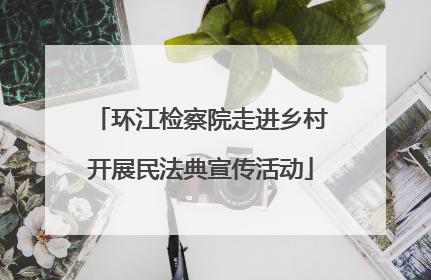 环江检察院走进乡村开展民法典宣传活动
