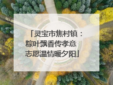 灵宝市焦村镇：粽叶飘香传孝意 志愿温情暖夕阳