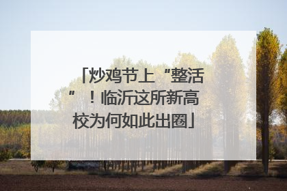 炒鸡节上“整活”！临沂这所新高校为何如此出圈
